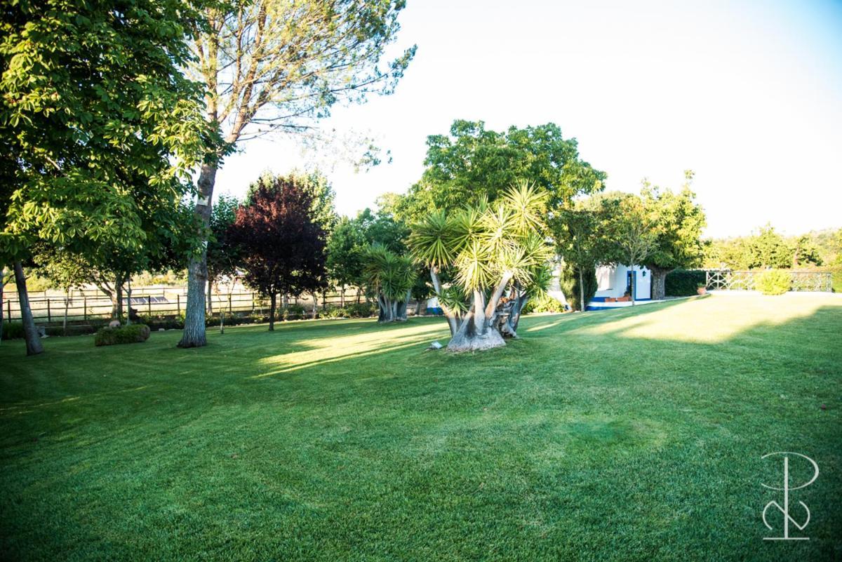 Quinta Do Poco Novo Villa Alcáçovas Екстериор снимка